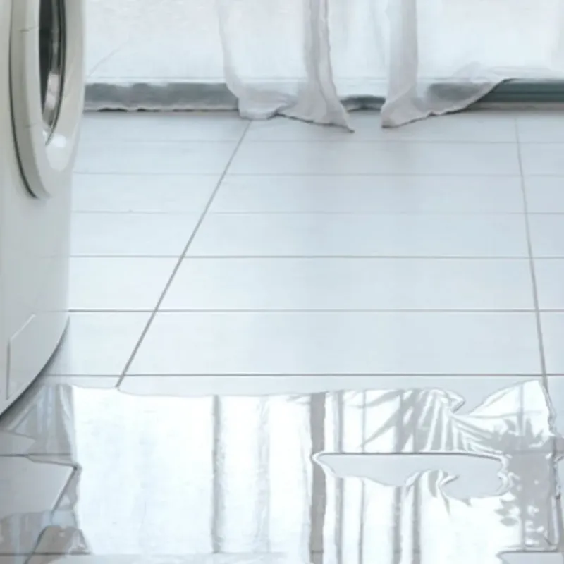 Appliance Leak Cleanup in Owosso, MI