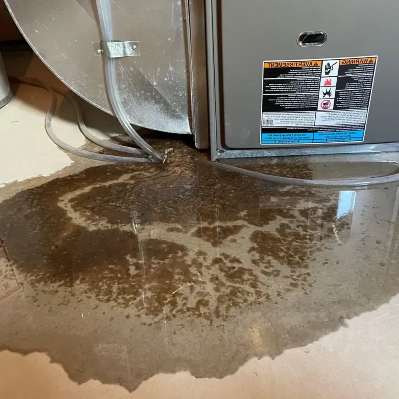 Pipe Burst and Leak Restoration in Owosso, MI