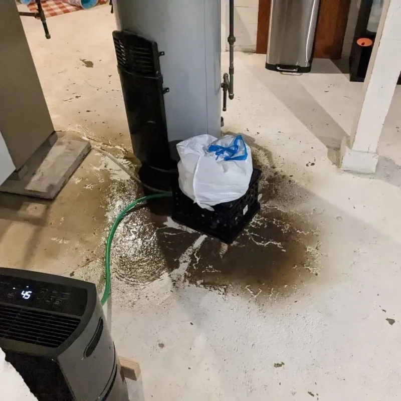 Sewage Backup Cleanup Service in Owosso, MI